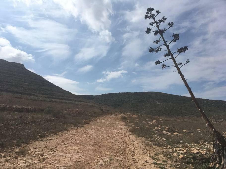 Cortijo Los Garridos - 8 Huespedes Fernan Perez 外观 照片