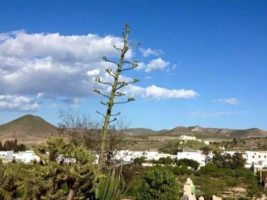 Cortijo Los Garridos - 8 Huespedes Fernan Perez 外观 照片