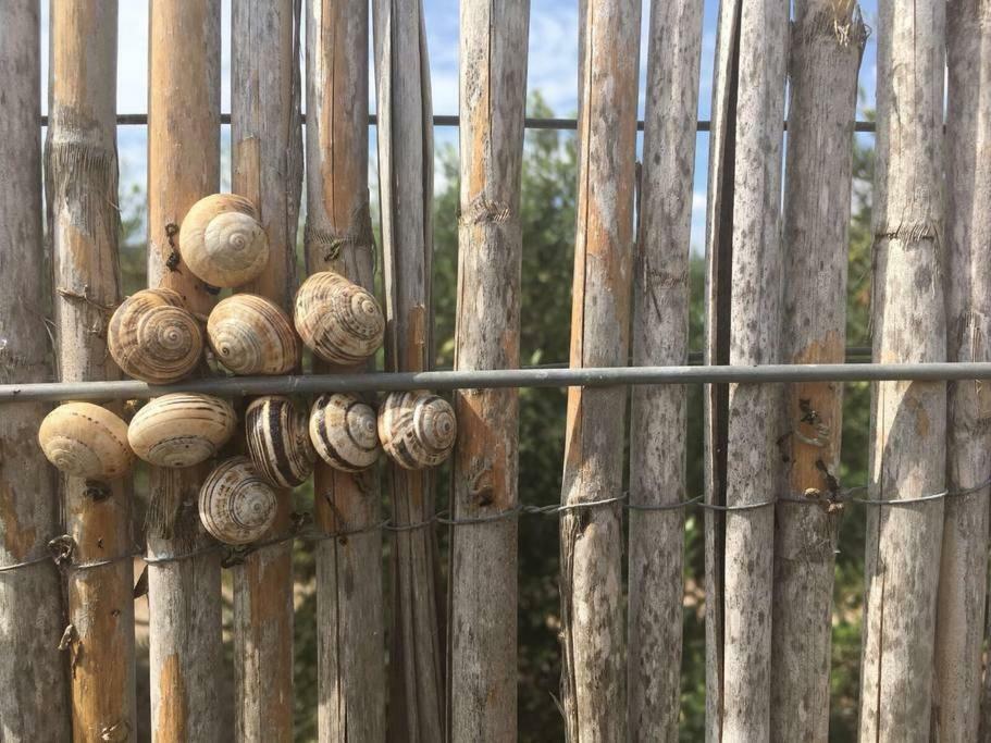 Cortijo Los Garridos - 8 Huespedes Fernan Perez 外观 照片